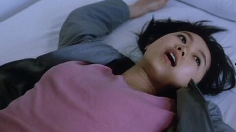 国产伦理电影网,探寻中国电影中的道德与情感交织